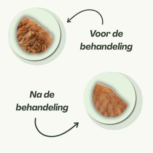 Geef je huisdier de liefdevolle zorg die het verdient!