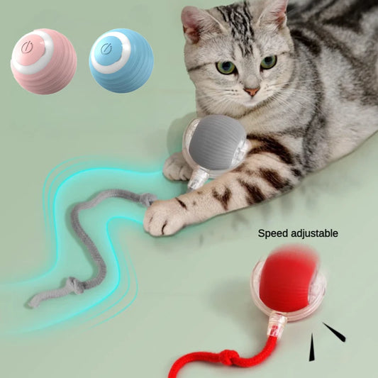 Smart Cat Play Ball