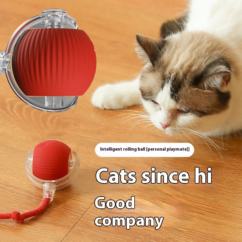 Smart Cat Play Ball