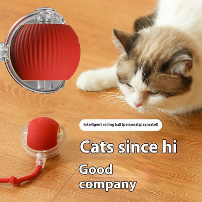 Smart Cat Play Ball