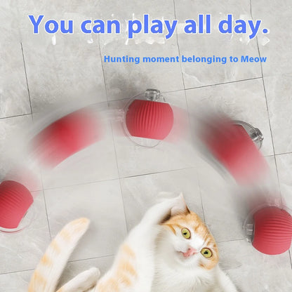 Smart Cat Play Ball